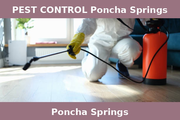 PEST CONTROL Poncha Springs